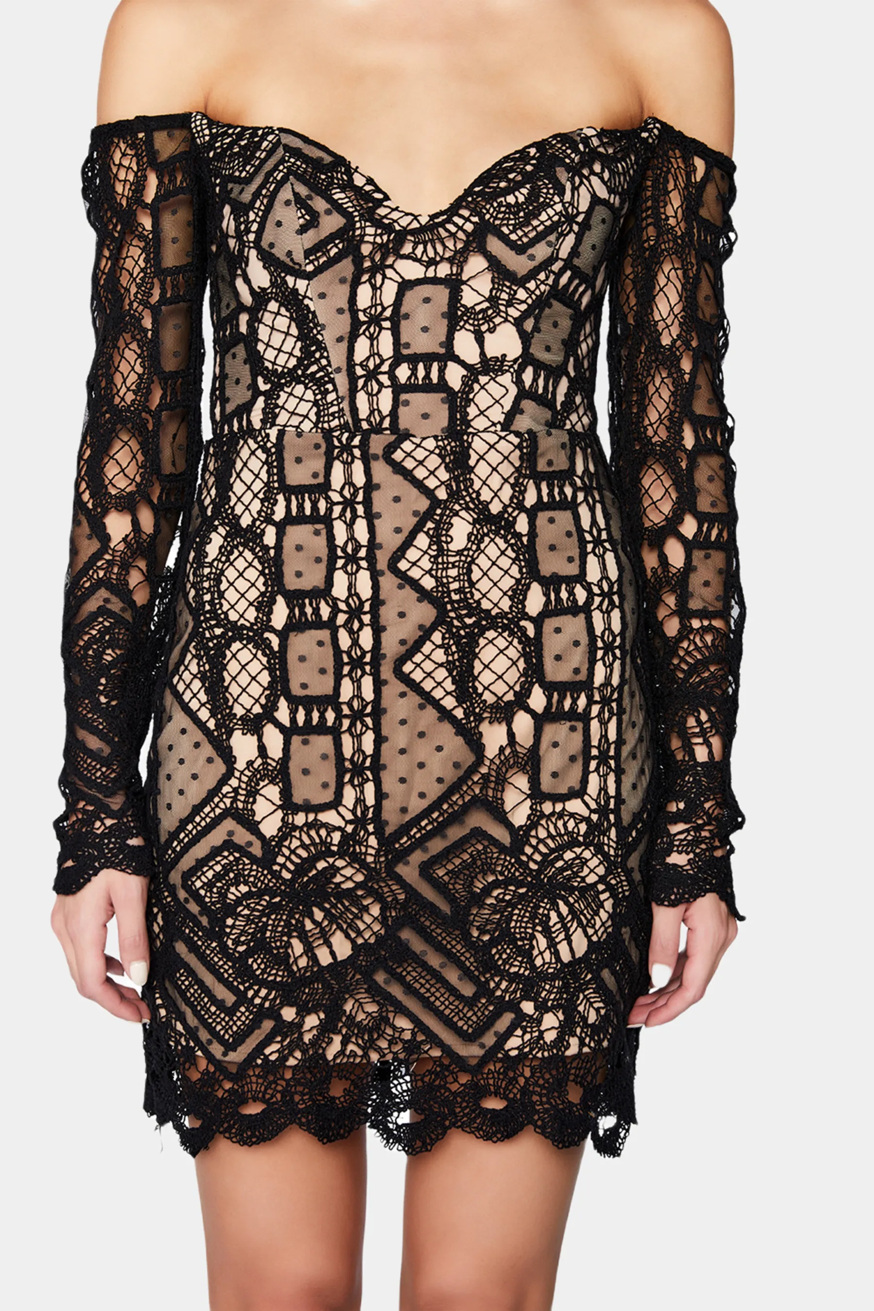 Zendaya Mini Lace Dress